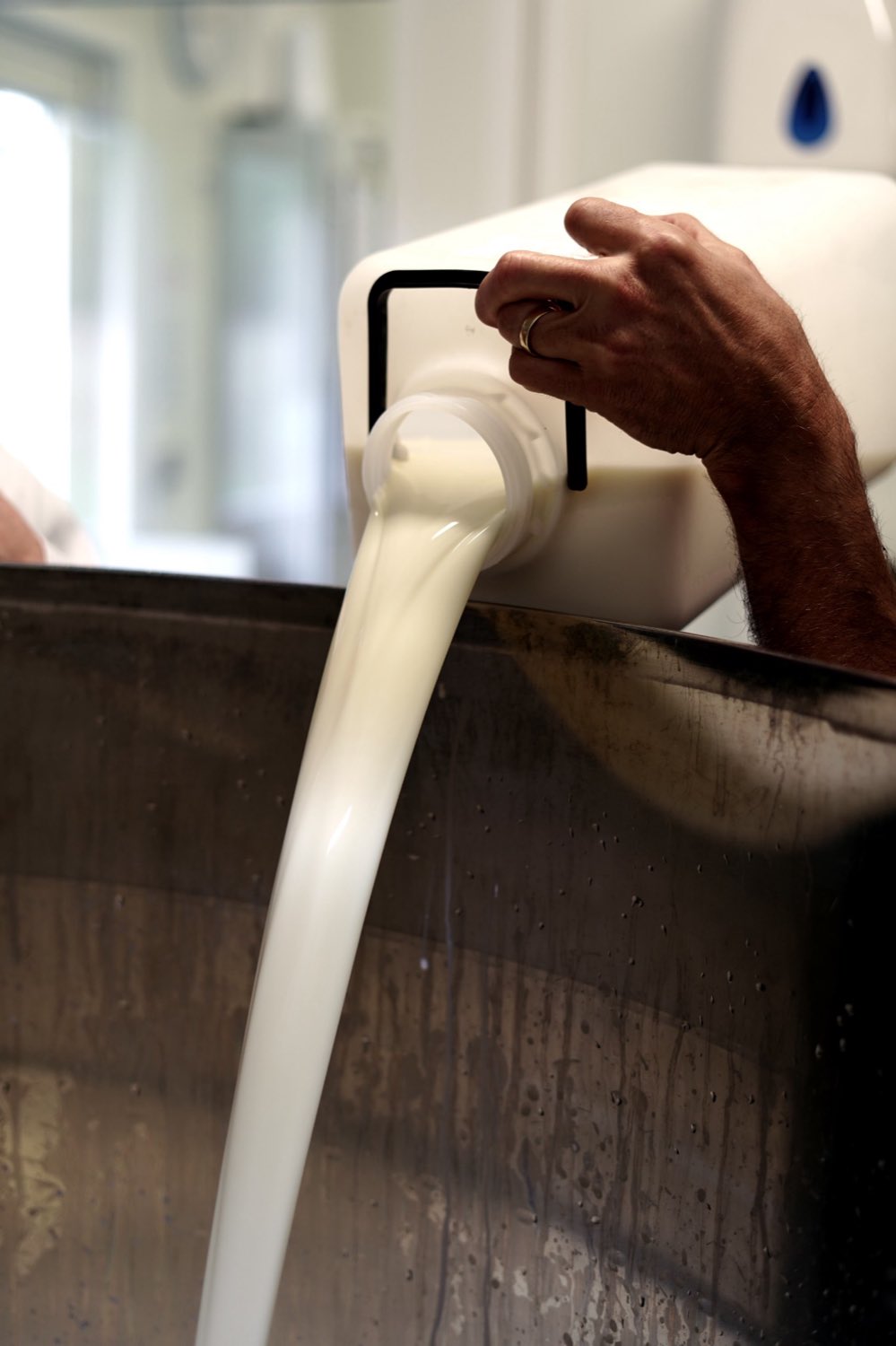 Fresh milk being poured at the dairy